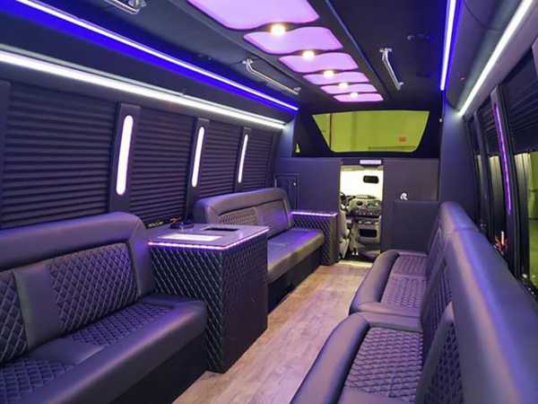 VIP Party Bus &amp; Limo 